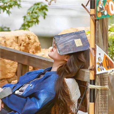 青春笨蛋少年不做怀梦少女的梦配图